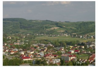 Strzyżów