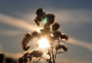 W jesiennym słońcu