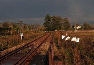 W jesiennym słońcu