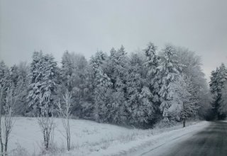 Droga w stronę Jawornika