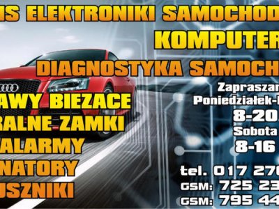 Serwis Elektroniki Samochodowej