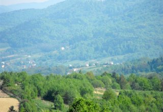 strzyżów jako powiat