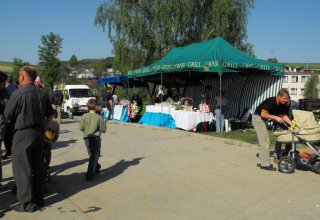 Wystawa Stępina 3 maj 2009