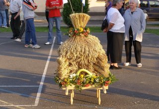 fot. Tomasz Bysiewicz