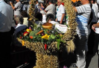 Dożynki 2011 w Strzyżowie