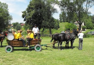 Dożynki 2011 w Strzyżowie