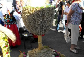 Dożynki 2011 w Strzyżowie