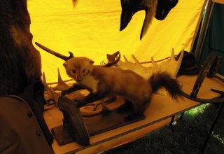 Dożynki 2011 w Strzyżowie