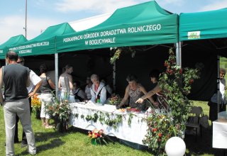 Dożynki Malinowe Połomia 2011