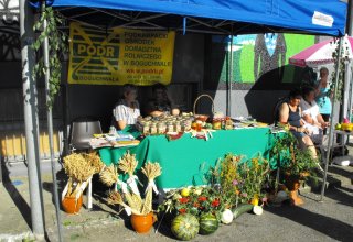 Dożynki Malinowe Połomia 2011