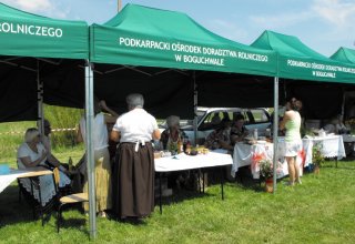 Dożynki Malinowe Połomia 2011