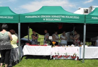 Dożynki Malinowe Połomia 2011