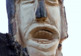 I Międzynarodowego Plener w Drewnie - Gogołowskie drzewoludy 2009