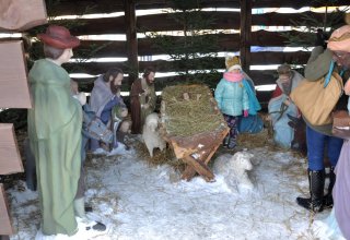 Strzyżowski Orszak Trzech Króli 2017
