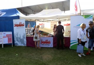 Piknik Wolności i Solidarności w Strzyżowie
