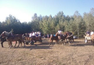 NARODZIN CHLEBA - GINĄCE ZAWODY