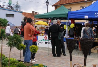 Drugi dzień obchodów Dni Ziemi Frysztackiej 2011