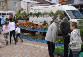 Drugi dzień obchodów Dni Ziemi Frysztackiej 2011