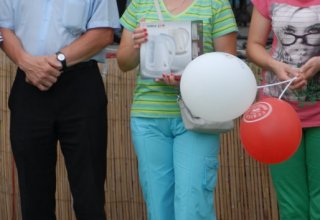 Galeria zdjęc z Dni Ziemi Frysztackiej 2013, koncert Sami