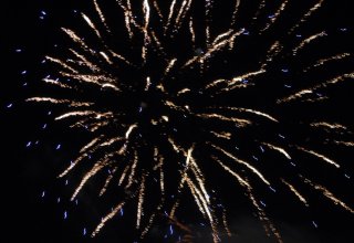 Galeria zdjęc z Dni Ziemi Frysztackiej 2013, koncert Sami