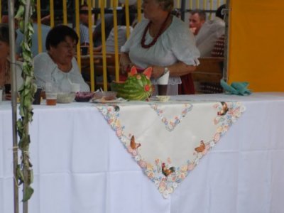 Galeria zdjęc z Dni Ziemi Frysztackiej 2013, koncert Sami