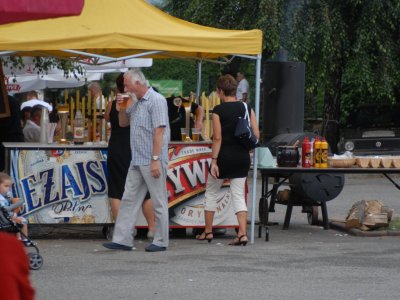 Galeria zdjęc z Dni Ziemi Frysztackiej 2013, koncert Sami