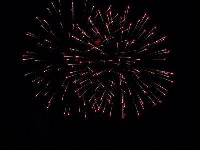 Galeria zdjęc z Dni Ziemi Frysztackiej 2013, koncert Sami