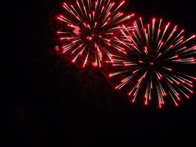 Galeria zdjęc z Dni Ziemi Frysztackiej 2013, koncert Sami