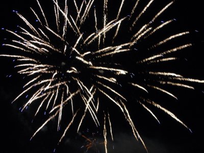 Galeria zdjęc z Dni Ziemi Frysztackiej 2013, koncert Sami