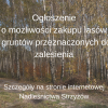 Ogłoszenie o możliwości zakupu lasów i gruntów przeznaczonych do zalesienia