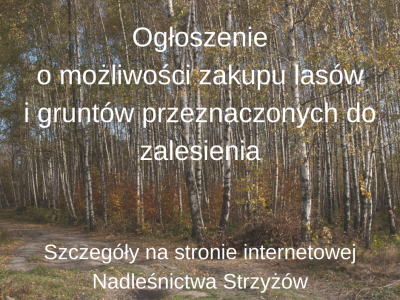 Ogłoszenie o możliwości zakupu lasów i gruntów przeznaczonych do zalesienia