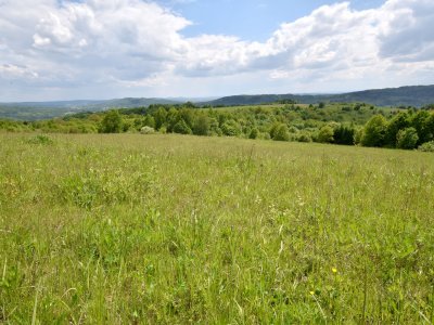 działki widokowe na wzgórzu Kamieniec-Lutcza.