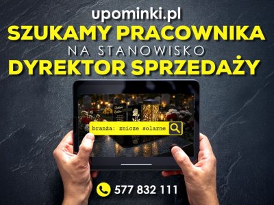 DYREKTOR SPRZEDAŻY