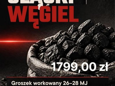 PROMOCJA NA POLSKI GROSZEK - DOSTAWA GRATIS