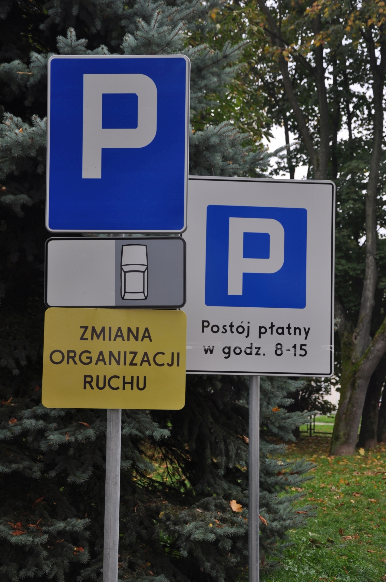 parkometr_strzyzow