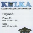 Kulka