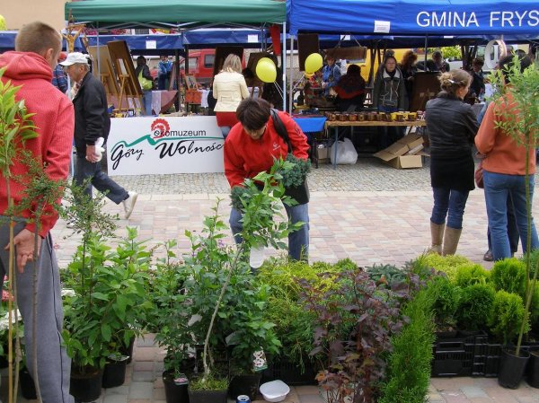 Drugi dzień obchodów Dni Ziemi Frysztackiej 2011