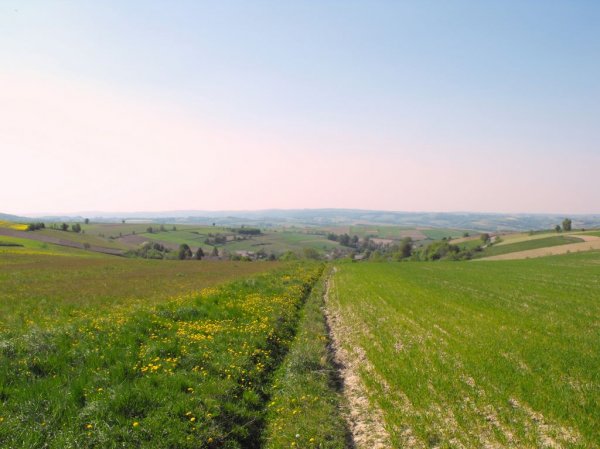 powiat strzyżowski na powiat ropczycko-sędziszowski