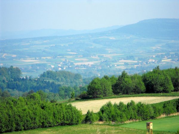 powiat strzyżów widok