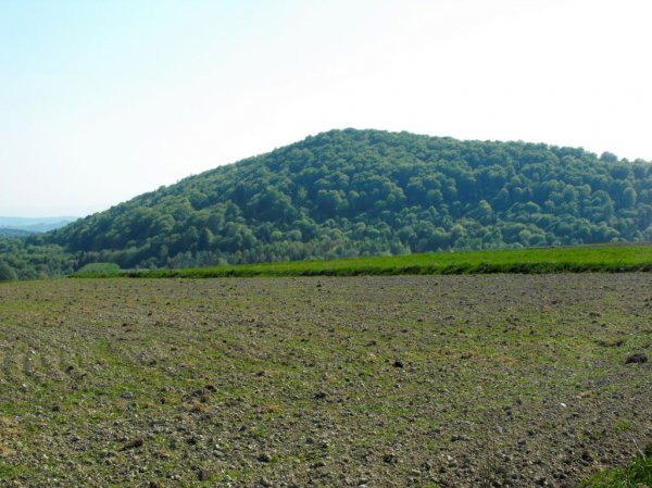 widok na górę chełm