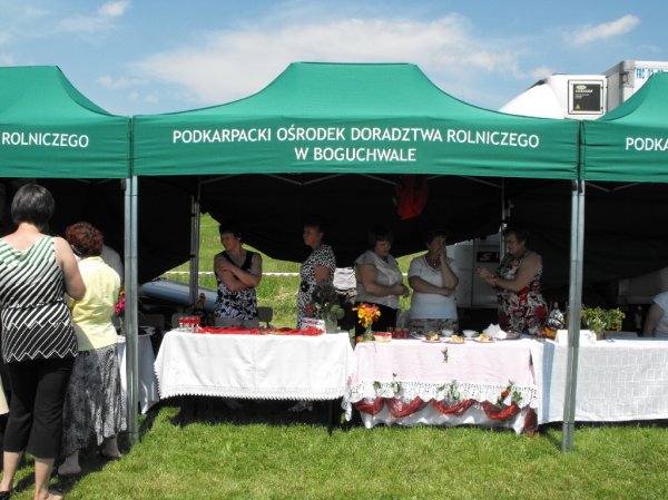 Dożynki Malinowe Połomia 2011