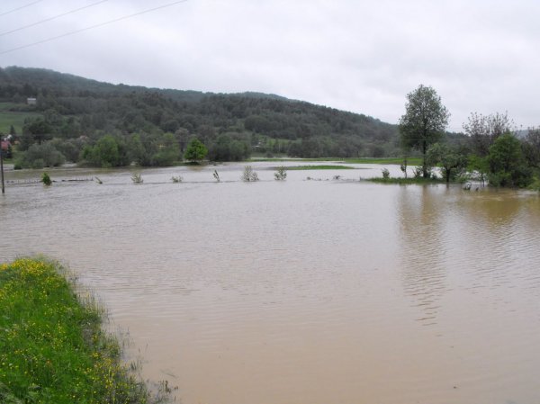 Powódź 2010 w Powiecie Strzyżowskim